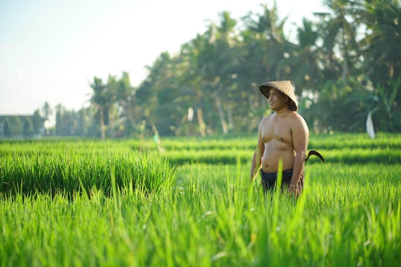 Asri Sari Villa Ubud מראה חיצוני תמונה