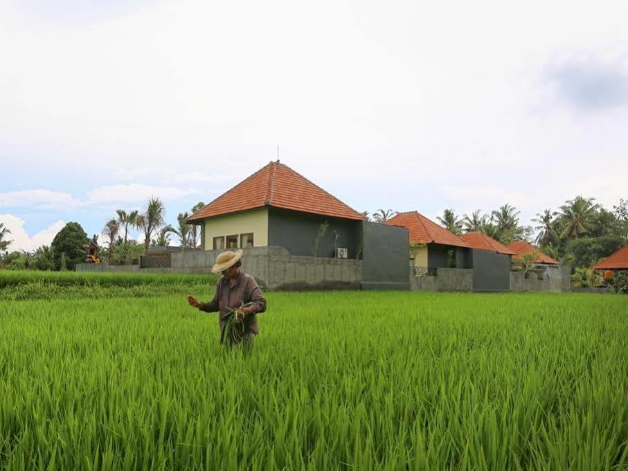 Asri Sari Villa Ubud מראה חיצוני תמונה