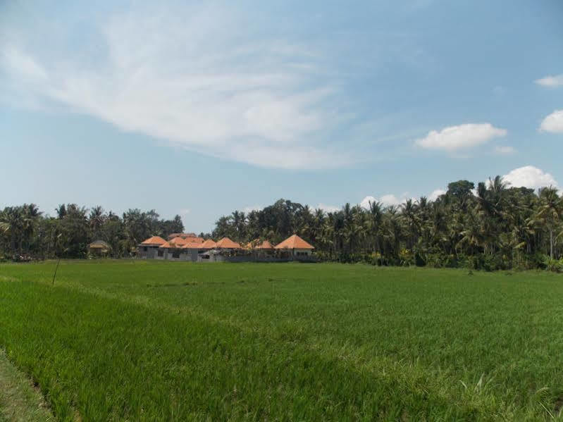 Asri Sari Villa Ubud מראה חיצוני תמונה